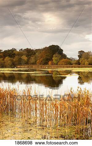 northumberland, england; water and the shoreline in autumn View Large Photo Image Stock Photo - northumberland, england; water and the shoreline in autumn. Fotosearch