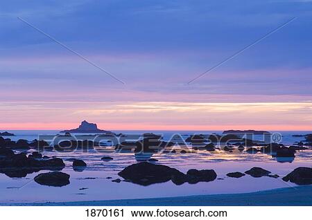 olympic national park, washington, united states of america; sunset at low tide on the olympic coast View Large Photo Image Stock Image - olympic national park, washington, united states of america; sunset at low tide on the olympic coast. Fotosearch