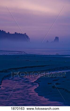Stock Image - olympic national park, washington, united states of america; sunrise on the olympic coast. Fotosearch