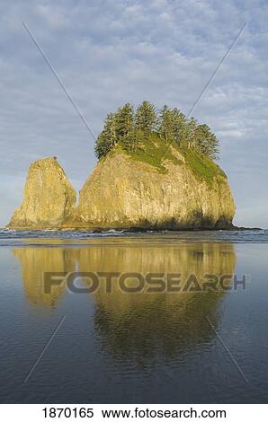 olympic national park, washington, united states of america; the view from second beach on the olympic coast View Large Photo Image Stock Photography - olympic national park, washington, united states of america; the view from second beach on the olympic coast. Fotosearch