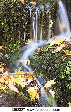 Stock Photo - oregon cascades, oregon, usa. Fotosearch