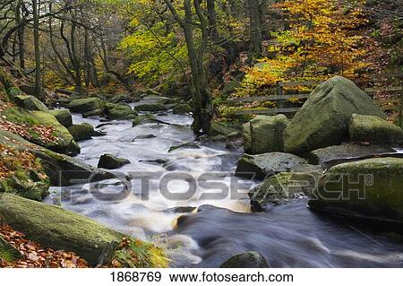 Stock Photo - padley gorge, derbyshire, england; burbage brook in autumn. Fotosearch