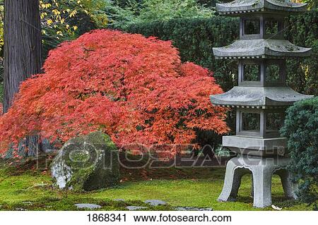 Stock Image - portland japanese garden, portland, oregon, usa. Fotosearch