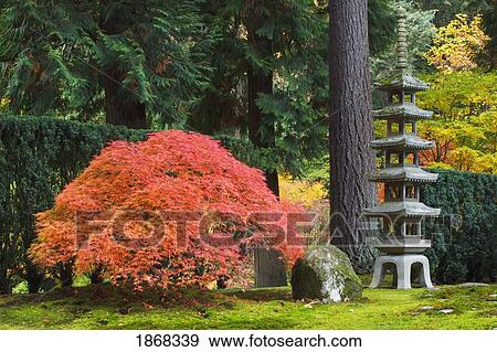 Stock Photo - portland japanese garden, portland, oregon, usa. Fotosearch