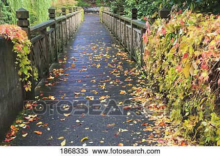 Stock Photography - portland, oregon, usa. Fotosearch