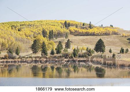 Reflection of foothills in lake in autumn, Alberta, Canada View Large Photo Image Stock Photo - Reflection of foothills in lake in autumn, Alberta, Canada. Fotosearch