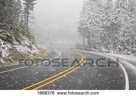 road during a snowfall View Large Photo Image Stock Photograph - road during a snowfall. Fotosearch