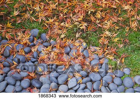 Stock Image - rocks and fallen leaves. Fotosearch