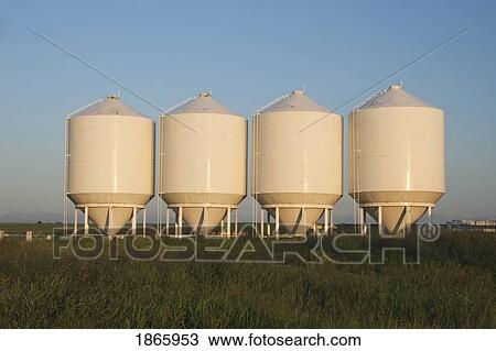 Stock Image - Row of white metal grain bins, High River, Alberta, Canada. Fotosearch