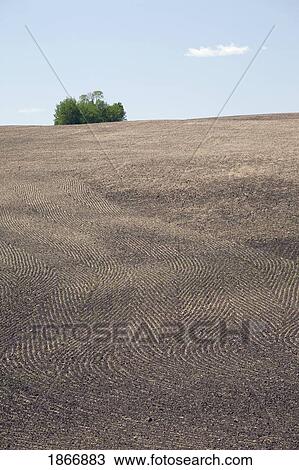 Stock Image - seeding patterns in soil, central alberta, canada. Fotosearch