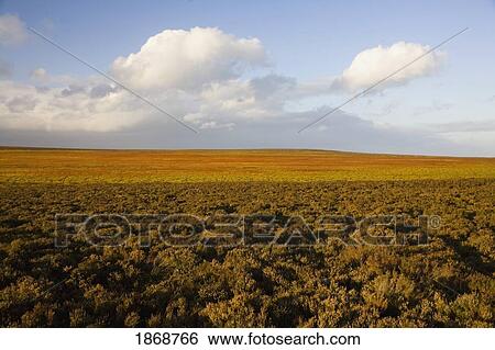 sheffield, south yorkshire, england; flat landscape View Large Photo Image Stock Photograph - sheffield, south yorkshire, england; flat landscape. Fotosearch