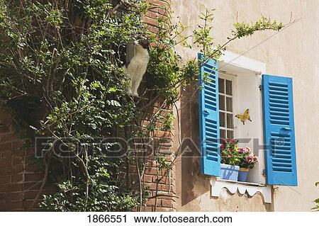 Side of a building with blue shutters View Large Photo Image Stock Image - Side of a building with blue shutters. Fotosearch