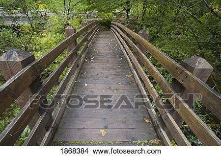 Picture - silver falls state park, oregon, usa. Fotosearch