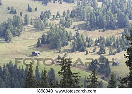 Stock Image - siusi allo sciliar, alto adige, italy. Fotosearch