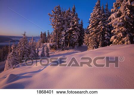 snow on a landscape View Large Photo Image Stock Image - snow on a landscape. Fotosearch