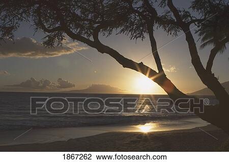 Stock Image - southwest maui, hawaii, usa. Fotosearch