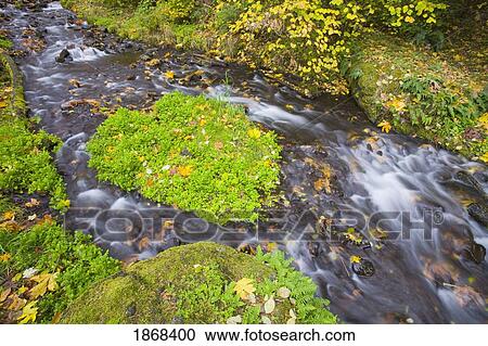 stream View Large Photo Image Stock Image - stream. Fotosearch