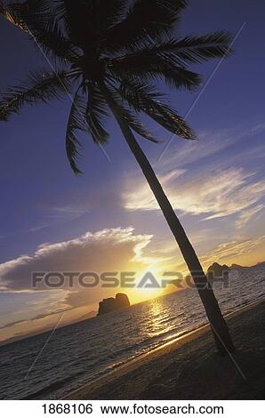 Stock Photograph - sunrise, koh ngai, trang islands, thailand. Fotosearch
