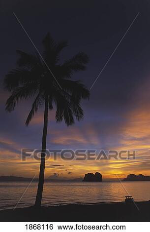 Stock Photograph - sunrise, koh ngai, trang islands, thailand. Fotosearch