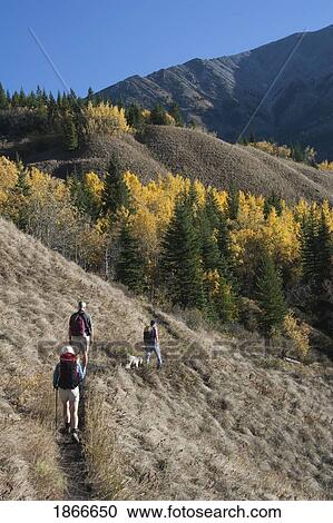 Three hikers on a mountain trail View Large Photo Image Stock Image - Three hikers on a mountain trail. Fotosearch