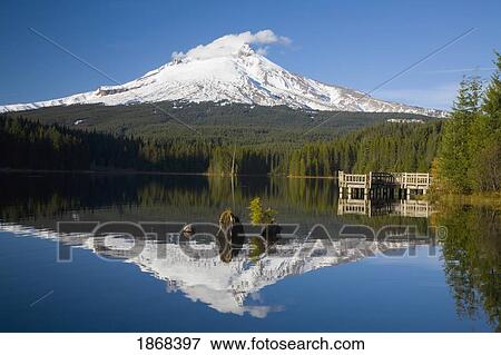 trillium lake, mount hood, oregon, usa View Large Photo Image Stock Photo - trillium lake, mount hood, oregon, usa. Fotosearch