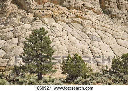 Stock Photo - utah, united states of america; cross-bedded sandstone on a petrified sand dune at grand staircase-escalante national monument. Fotosearch