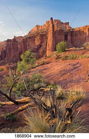 Picture - utah, united states of america; the fisher towers. Fotosearch