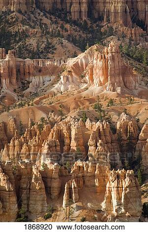 Stock Image - utah, united states of america; the needles of bryce canyon. Fotosearch