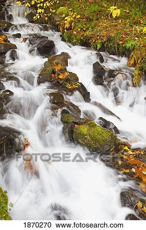 water cascading down a hill View Large Photo Image Stock Image - water cascading down a hill. Fotosearch