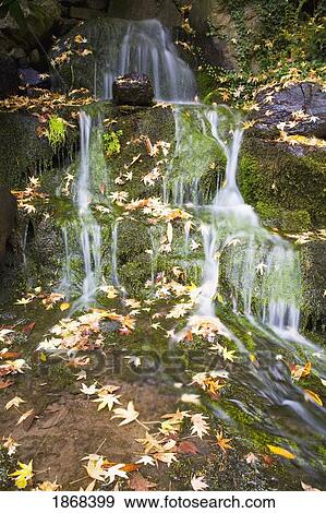 Stock Photo - water flowing down rocks. Fotosearch