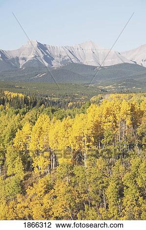 Stock Image - west of the turner valley, kananaskis country, alberta. Fotosearch