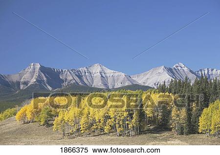 west of the turner valley, kananaskis, alberta View Large Photo Image Stock Photography - west of the turner valley, kananaskis, alberta. Fotosearch