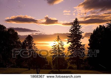 willamette valley, oregon, usa View Large Photo Image Stock Photo - willamette valley, oregon, usa. Fotosearch