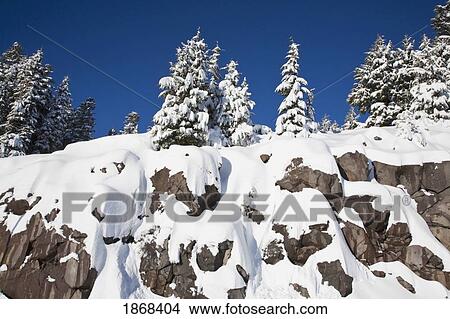 Picture - winter. Fotosearch