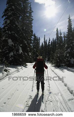 Stock Photo - Woman cross country skiing, on trail. Fotosearch