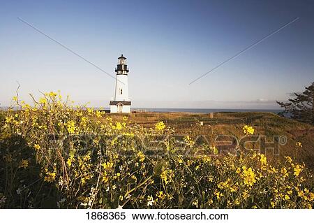 Stock Photography - yaquina head lighthouse, yaquina head, oregon, usa. Fotosearch