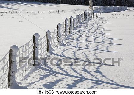 a field and fence covered in snow View Large Photo Image Stock Image - a field and fence covered in snow. Fotosearch