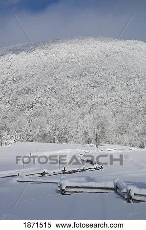 a field and forest in the winter View Large Photo Image Stock Photography - a field and forest in the winter. Fotosearch