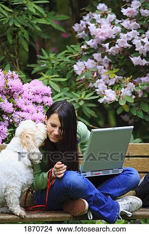 a girl getting a kiss from her dog while sitting on a park bench and working on her laptop computer View Large Photo Image Picture - a girl getting a kiss from her dog while sitting on a park bench and working on her laptop computer. Fotosearch