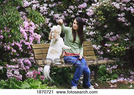Stock Image - a girl giving her dog a treat while sitting on a bench in the park. Fotosearch