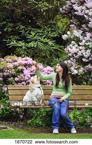 Stock Image - a girl giving her dog a treat while sitting on a bench in the park. Fotosearch