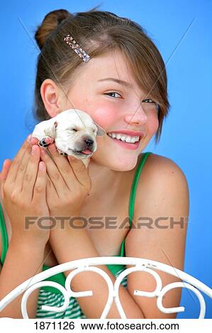 a girl holding a tiny puppy View Large Photo Image Stock Photograph - a girl holding a tiny puppy. Fotosearch