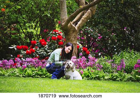 a girl petting her dog in the park View Large Photo Image Stock Photo - a girl petting her dog in the park. Fotosearch