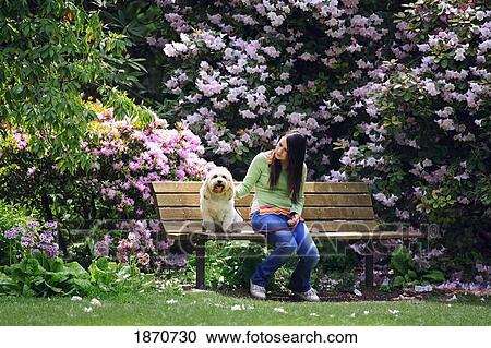 a girl sitting on a bench with her dog in the park View Large Photo Image Stock Image - a girl sitting on a bench with her dog in the park. Fotosearch