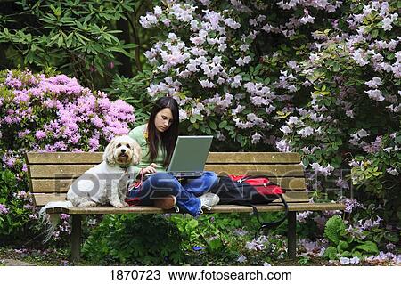 a girl sitting on a park bench with her dog while working on her laptop computer View Large Photo Image Stock Image - a girl sitting on a park bench with her dog while working on her laptop computer. Fotosearch