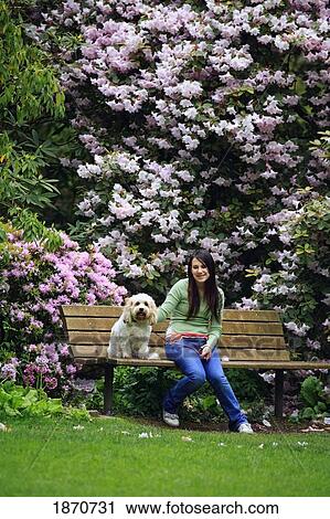 Stock Image - a girl sitting with her dog on a bench in the park. Fotosearch