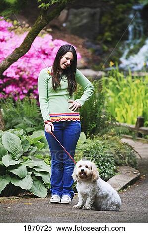 a girl watching her dog sit while out for a walk View Large Photo Image Stock Photography - a girl watching her dog sit while out for a walk. Fotosearch