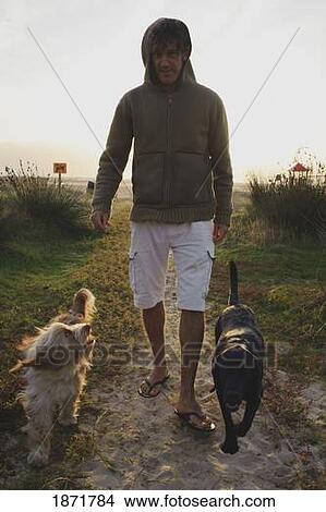 Picture - a man walking his two dogs by the beach. Fotosearch
