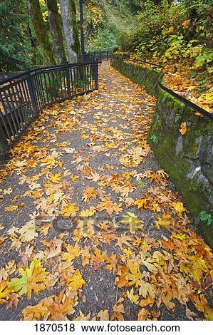 a paved trail with a railing in autumn View Large Photo Image Stock Photo - a paved trail with a railing in autumn. Fotosearch