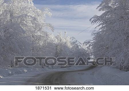 a road running between snow-covered trees View Large Photo Image Stock Image - a road running between snow-covered trees. Fotosearch
